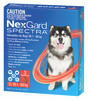 Nexgard Spectra Flea, Tick and Worming Treatment for Giant Dogs