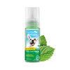 Tropiclean Fresh Breath Fresh Mint Foam Front