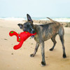 KONG Belly Flops Lobster Dog Toy