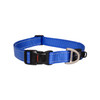 Rogz Dog Utility Classic Collar Blue
