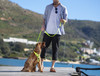 Rogz Utility Classic Dog Lead Blue
