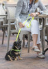 Rogz Utility Classic Dog Lead Pink