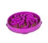 Outward Hound Fun Feeder Slow Feed Dog Bowl Purple