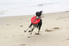 Rogz Flying Object RFO Dog Toy Red