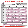 Royal Canin Veterinary Diet Renal Chicken Wet Cat Food Pouches
