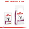 Royal Canin Veterinary Diet Renal Chicken Wet Cat Food Pouches