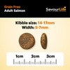 SavourLife Grain Free Dry Dog Food Salmon