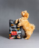 SavourLife Grain Free Dry Puppy Food Chicken