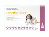 Revolution Parasite Prevention for Puppies and Kittens