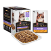 Pro Plan Kitten Chicken In Jelly Wet Cat Food