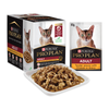 Pro Plan Chicken In Gravy Wet Cat Food