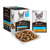 Pro Plan Adult Urinary Tract Health Chicken Cat Wet Food