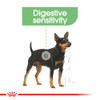 Royal Canin Digestive Care Loaf Wet Dog Food