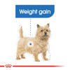Royal Canin Lightweight Care Loaf Wet Dog Food