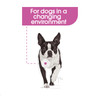 Royal Canin Relax Care Loaf Wet Dog Food