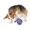 Busy Buddy Kibble Nibble Dog Toy