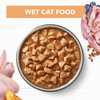 Ivory Coat Kitten Wet Cat Food Chicken Gravy