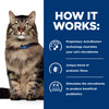 Hill's Prescription Diet Gastrointestinal Biome Dry Cat Food