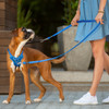 Rogz Stop-Pull Dog Harness Black