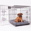 Kazoo Premium Collapsible Dog Crate