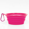 PetO Portable Collapsible Dog & Cat Bowl Assorted