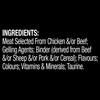 Dine Slices with Succelent Chicken Adult Wet Cat Food