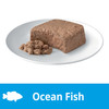 Dine Kitten with Ocean Fish Wet Cat Food