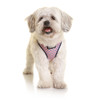 DOOG Neoflex Dog Harness GROMIT