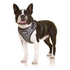 DOOG Neoflex Dog Harness PONGO