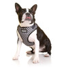 DOOG Neoflex Dog Harness PONGO