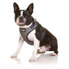 DOOG Neoflex Dog Harness PONGO