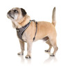 DOOG Neoflex Dog Harness PONGO