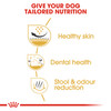Royal Canin Shih Tzu Loaf Wet Dog Food