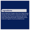ADVANCE Medium Terriers Ocean Fish with Rice Dry Dog Food
