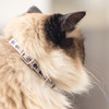 La Doggie Vita Go Fish Cat Collar Black/Taupe