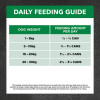 Ivory Coat Lamb & Brown Rice Loaf Wet Dog Food