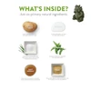 Whimzees Hedgehog Large Dental Treats Bulk Box