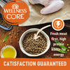 Wellness CORE Grain Free Adult Original Turkey & Chicken Dry Cat Food