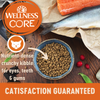 Wellness CORE Grain Free Indoor Cat Salmon & Herring Dry Cat Food