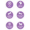 Wellness CORE Grain Free Chicken & Turkey Dry Puppy Food