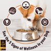 Wellness CORE Grain Free Chicken & Turkey Dry Puppy Food
