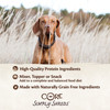 Wellness CORE Simply Shreds Chicken, Beef & Carrots Wet Dog Food