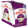 Royal Canin Adult Sensory Smell in Jelly Wet Cat Food 12x85g