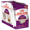 Royal Canin Adult Sensory Taste in Gravy Wet Cat Food 12x85g