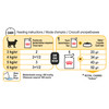Royal Canin Adult Sensory Taste in Jelly Wet Cat Food Nutrition