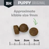 Black Hawk Chicken & Rice Dry Medium Puppy Dog Food nibble