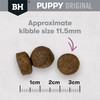 Black Hawk Lamb & Rice Dry Large Puppy Dog Food nibble