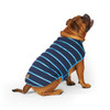 Kazoo Blue Stripe Dog Reversible Snuggie back