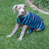 Kazoo Blue Stripe Dog Reversible Snuggie big