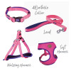 Kazoo Active Adjustable Nylon Dog Collar Bloom Burst set